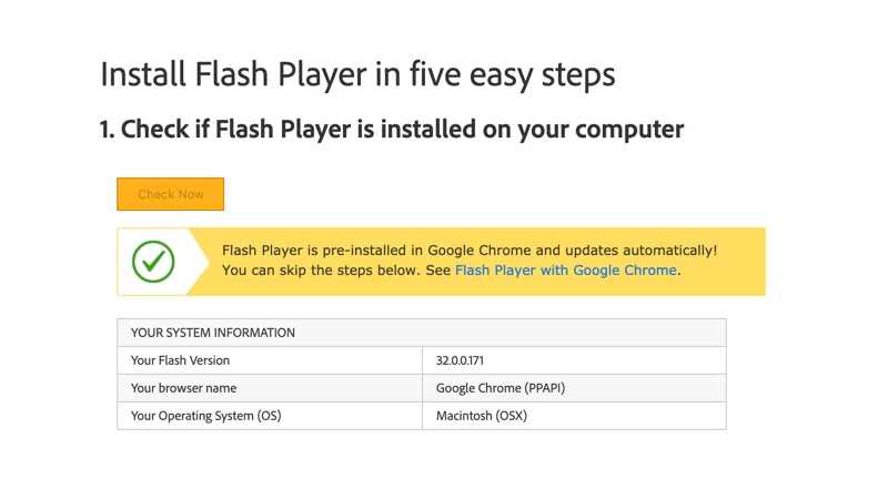 What Version of Flash Do I Have?